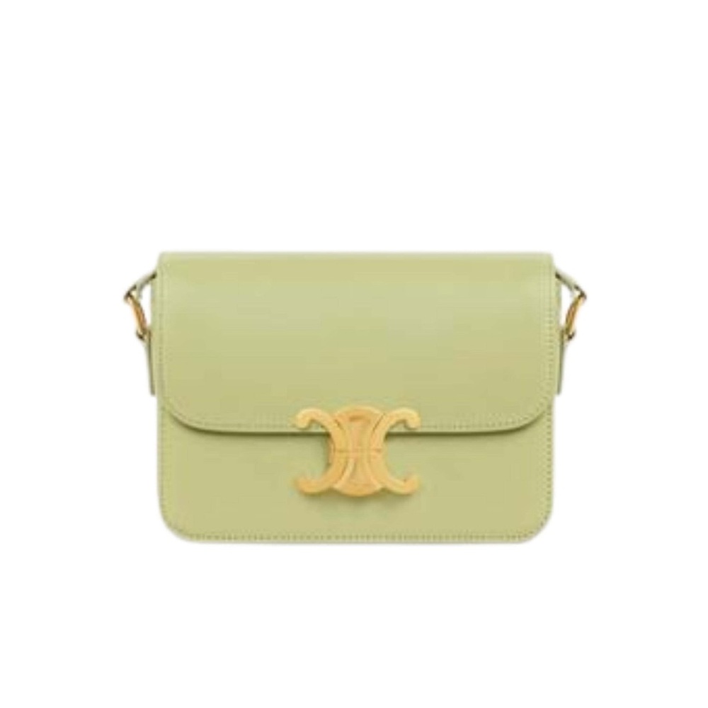 Celine Teen Triomphe Bag in Shiny Calfskin in Light Jade